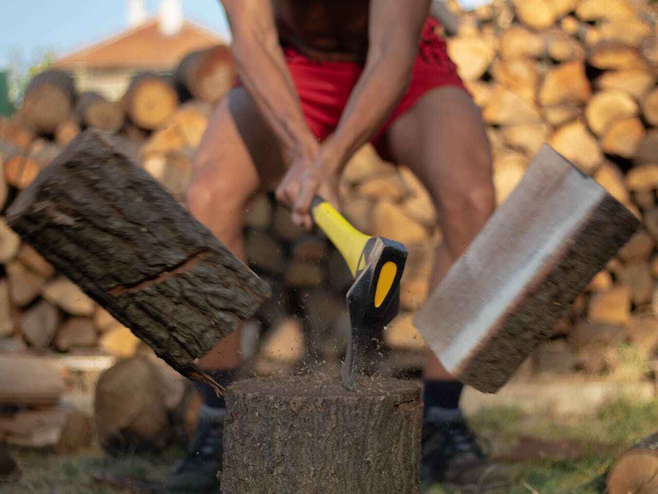 The Steps Involved in Our Tree Care Process in Norton Center, MA